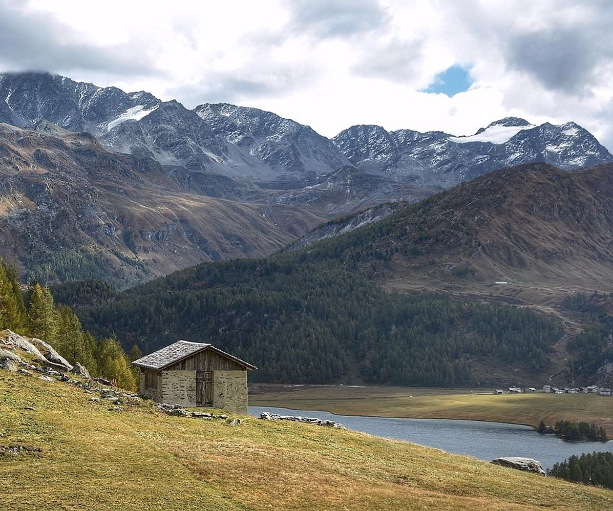 Lago de montanha com peixe nadando perto das árvores
